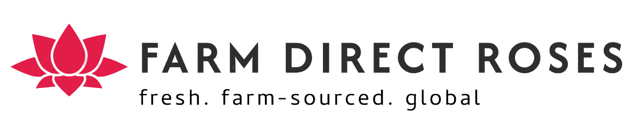 Farm Direct Roses – Fresh Farm-Sourced Ecuadorian Roses